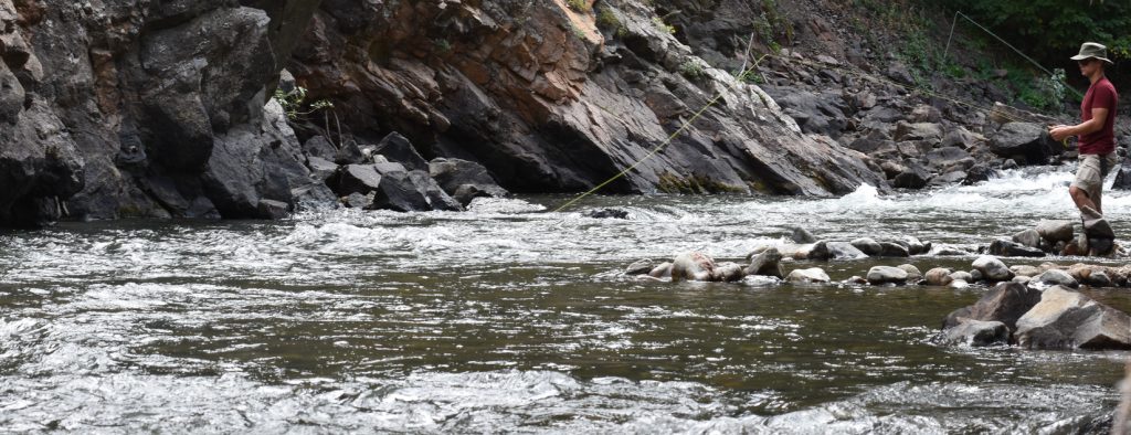 Fly Fishing