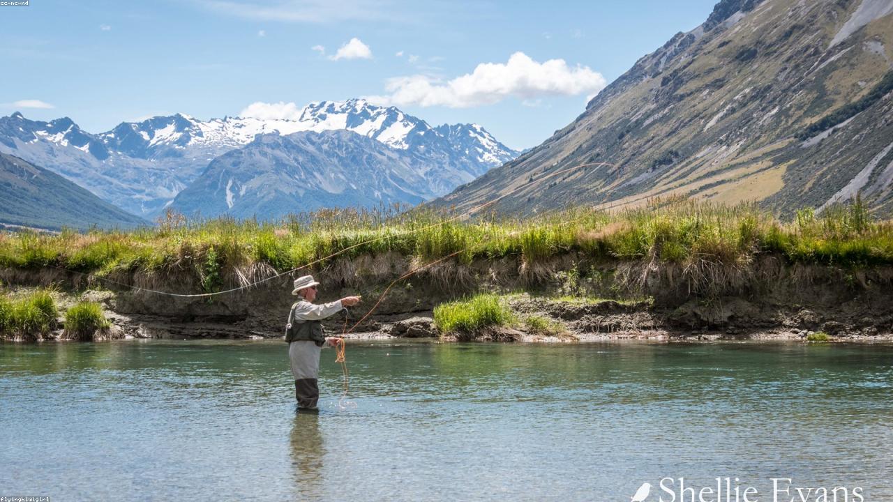 Alpine basins, wildflower meadows, and reservoir shorelines all sit within a short drive of Summit County towns.